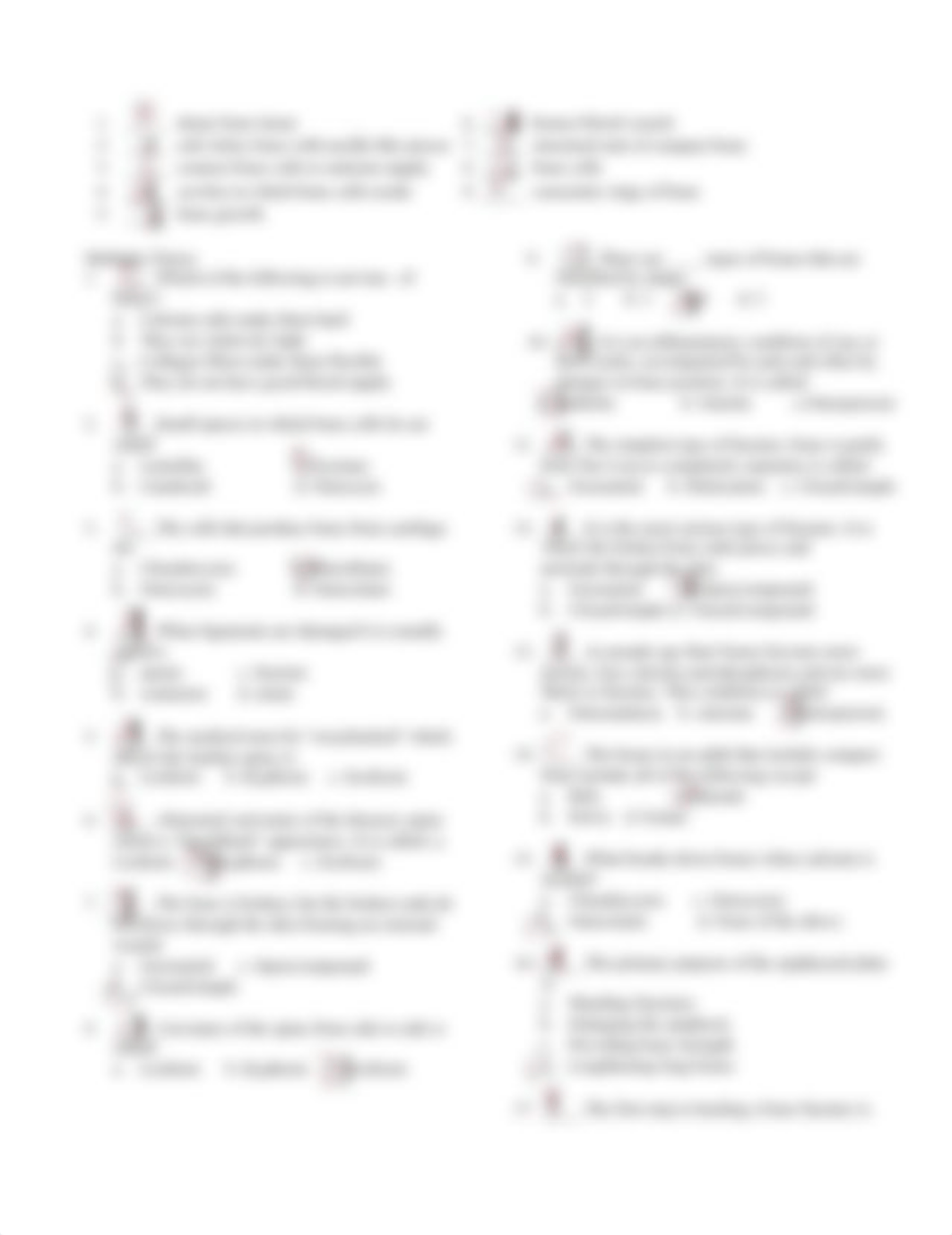 Skeletal_system_worksheet_1_2015.docx_dn7b2d39h9m_page2