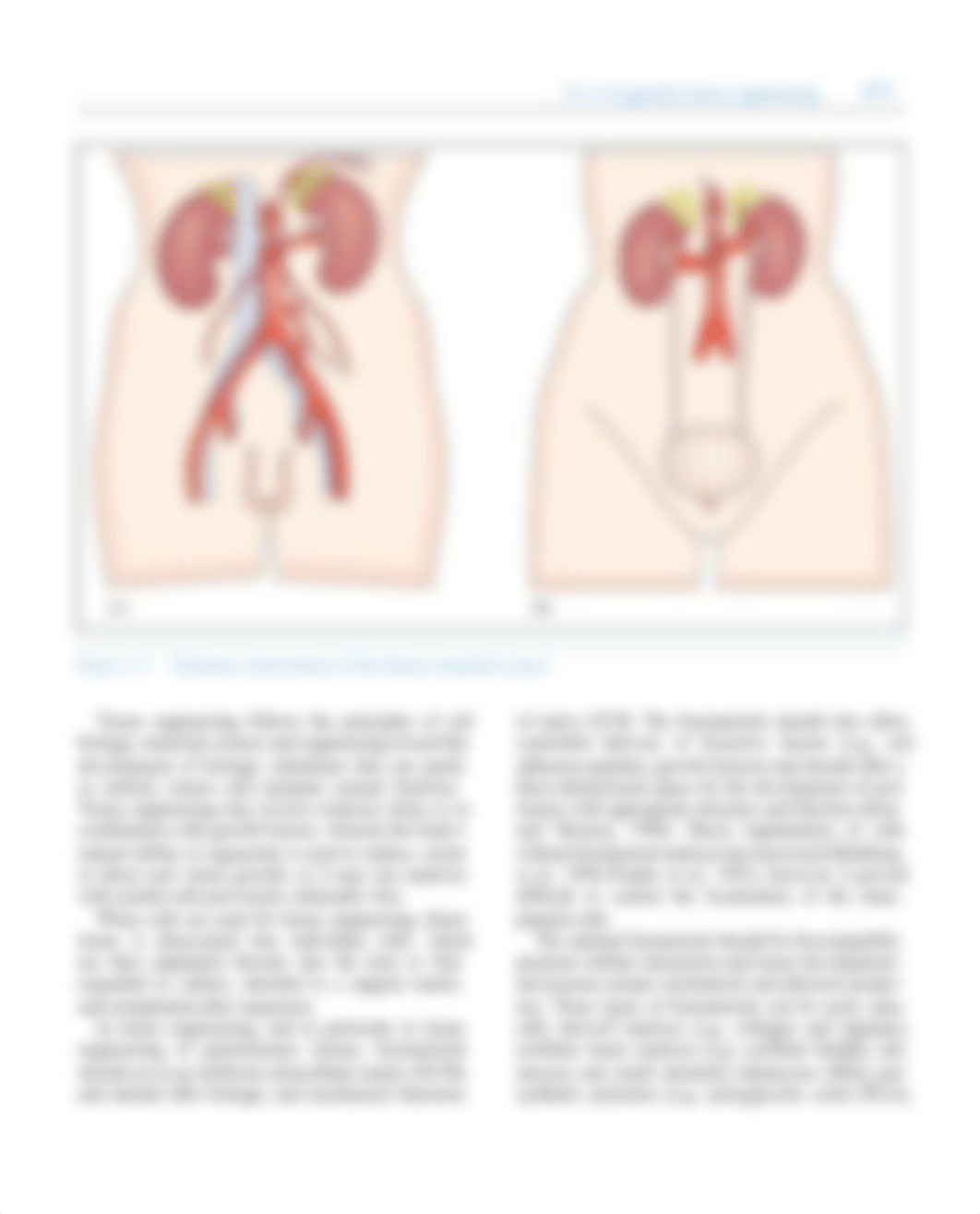 Chapter-21---Tissue-engineering-of-organ-systems_2008_Tissue-Engineering.pdf_dn7dhifho9o_page3