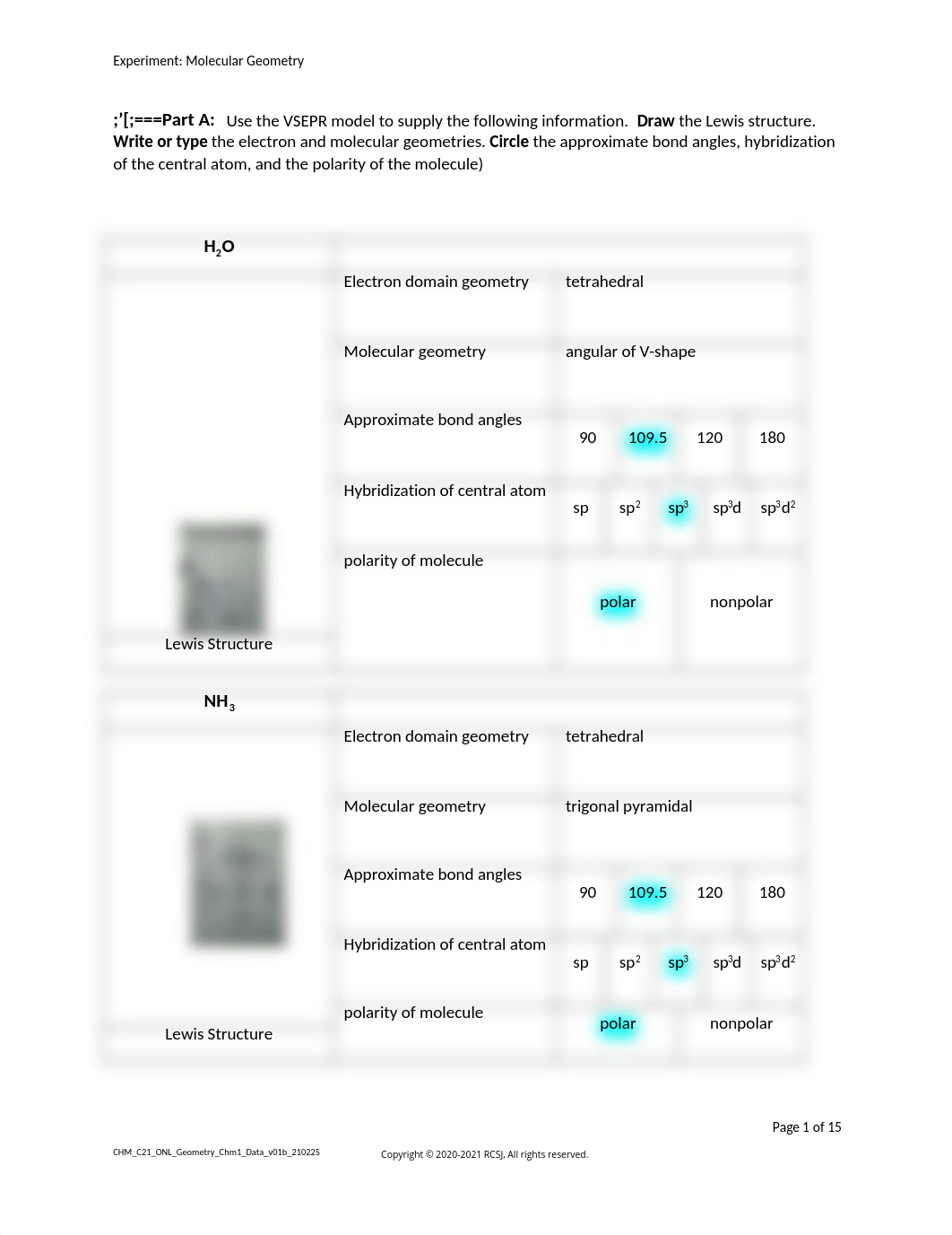 lab 10 .docx_dn7efm0zcrg_page1