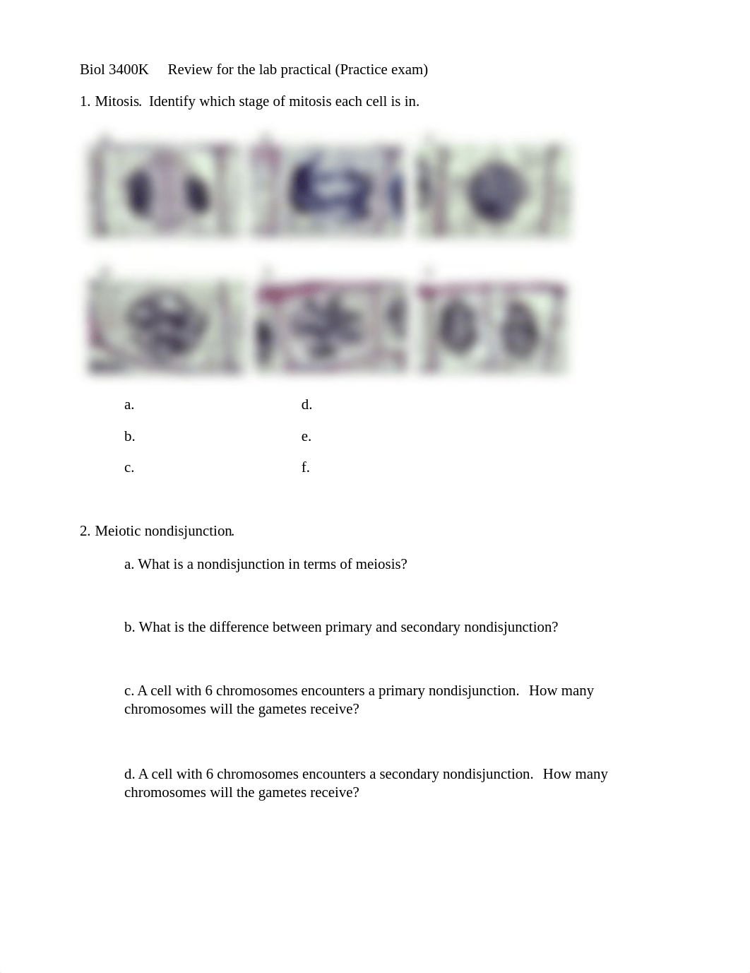 Biol 3400K Lab practical practice exam.docx_dn7hqb3qqs9_page1