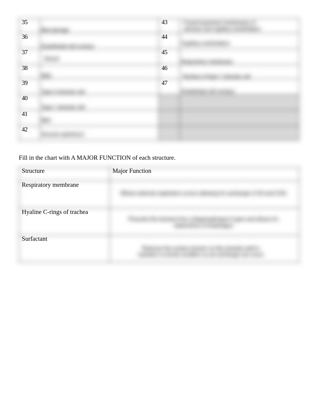 RespiratoryAnatomyAnswerSheet - Tagged.pdf_dn7om72w1ch_page2