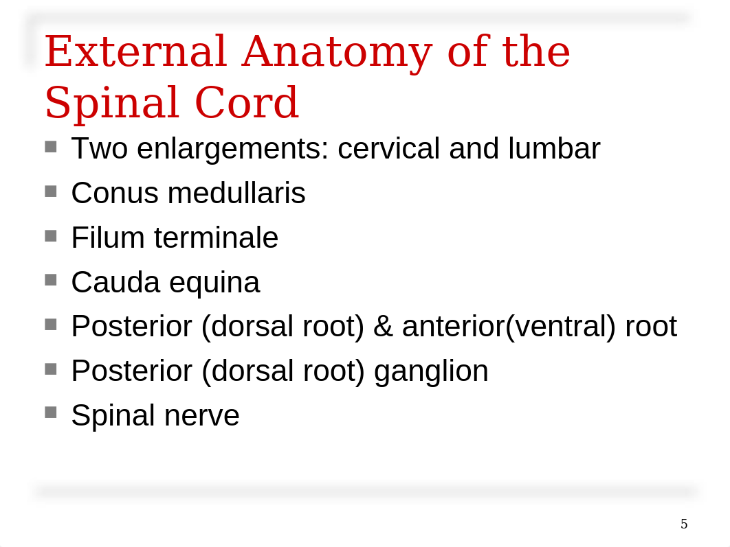 Spinal Cord & Spinal Nerves.ppt_dn800562mht_page5