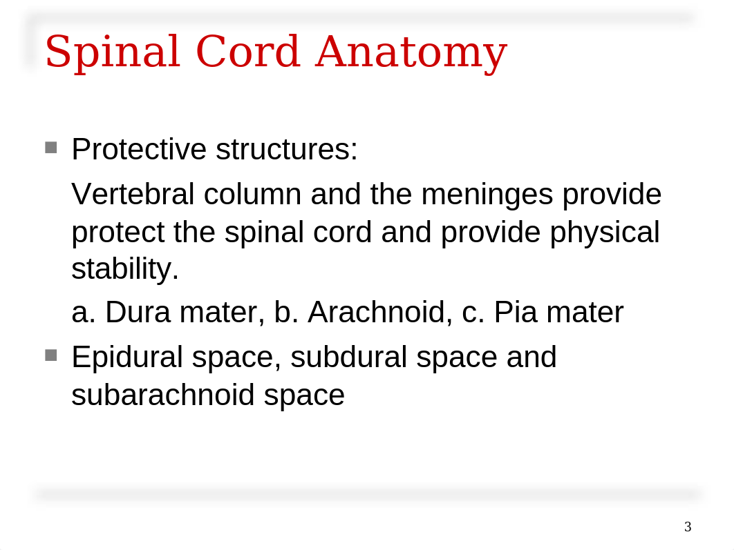 Spinal Cord & Spinal Nerves.ppt_dn800562mht_page3