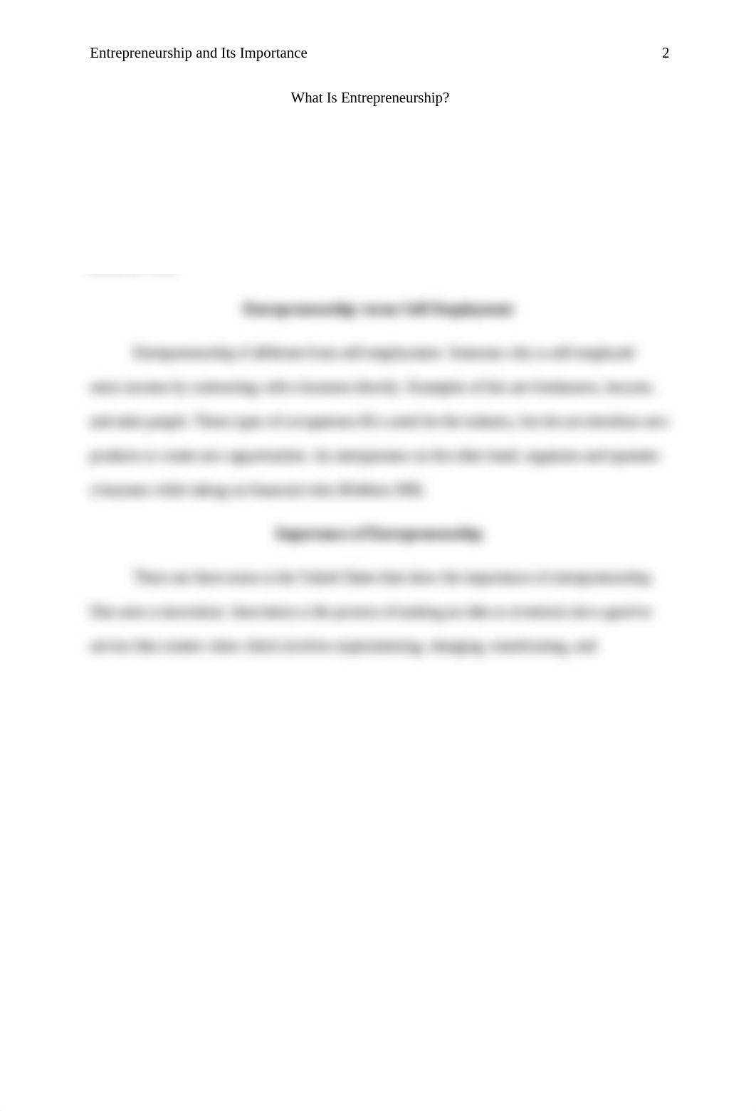 entreprenuership paper.docx_dn808vi9a10_page2