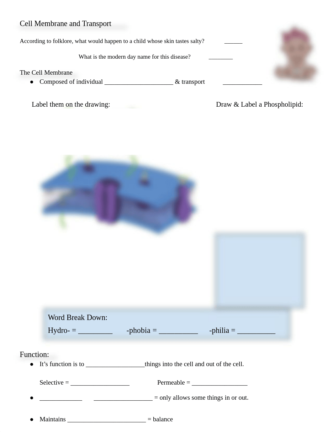 (22) Cell Membrane Guided Notes.docx_dn83t9lotd7_page1