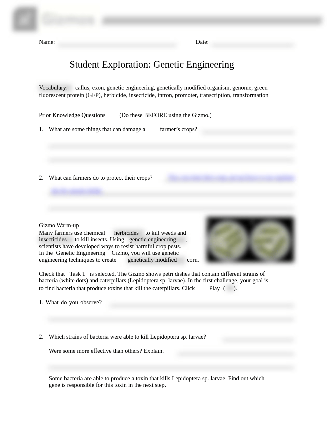 Gizmo_Genetic_Engineering_SE (1) (1).pdf_dn8aph5k9cb_page1