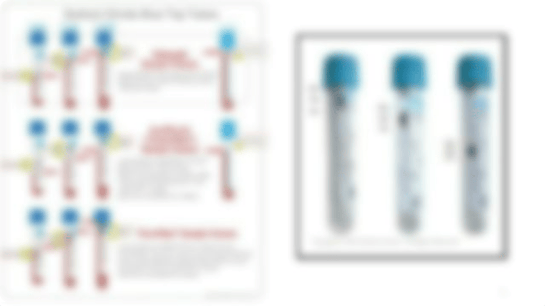 WEEK 1 - Wednesday Lecture - Examination of the Peripheral Blood Film and Correlation Chapter 13.ppt_dn8cwh4lzyb_page5