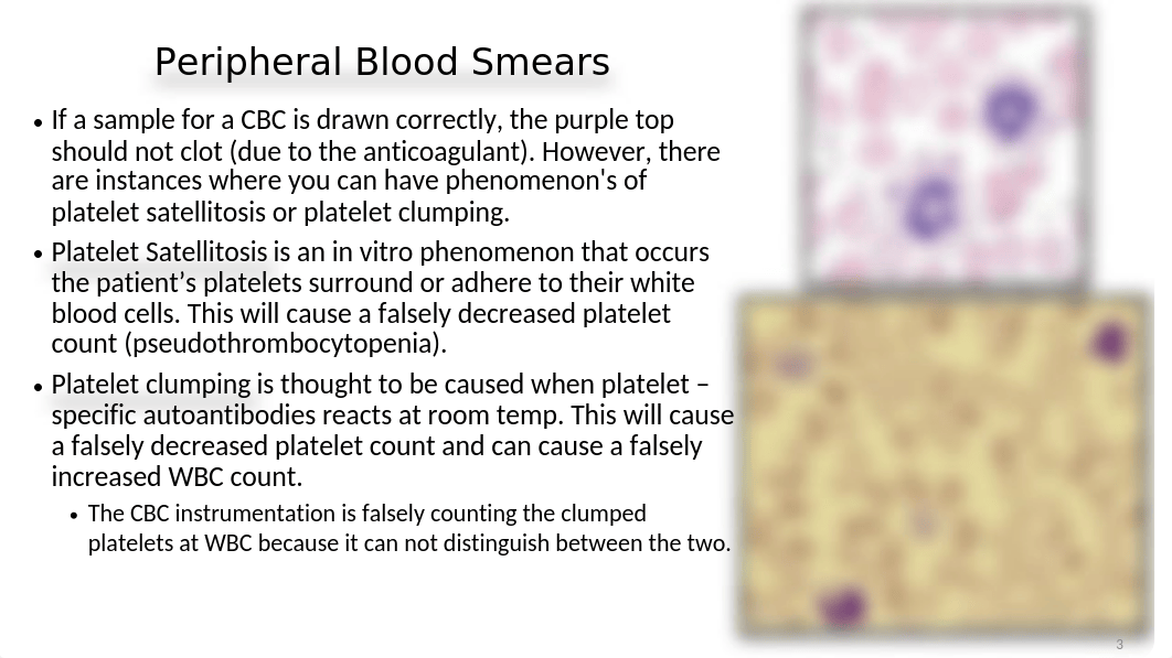 WEEK 1 - Wednesday Lecture - Examination of the Peripheral Blood Film and Correlation Chapter 13.ppt_dn8cwh4lzyb_page3