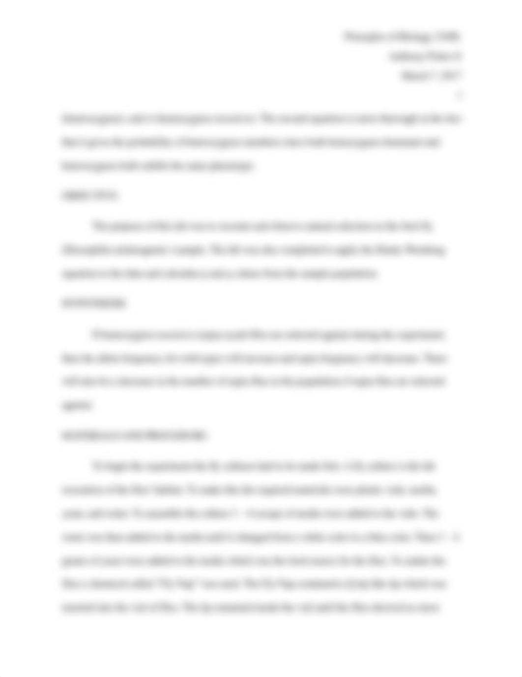 Fruit Fly Lab Report.docx_dn8hxvnp6p0_page2