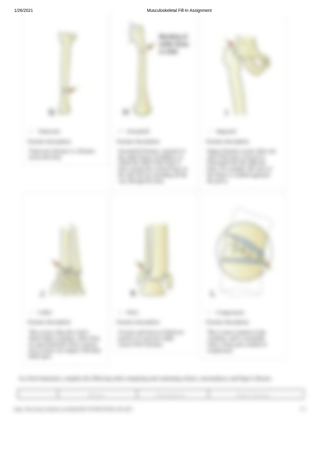 Musculoskeletal Fill-In Assignment .docx_dn8iv87y8by_page3