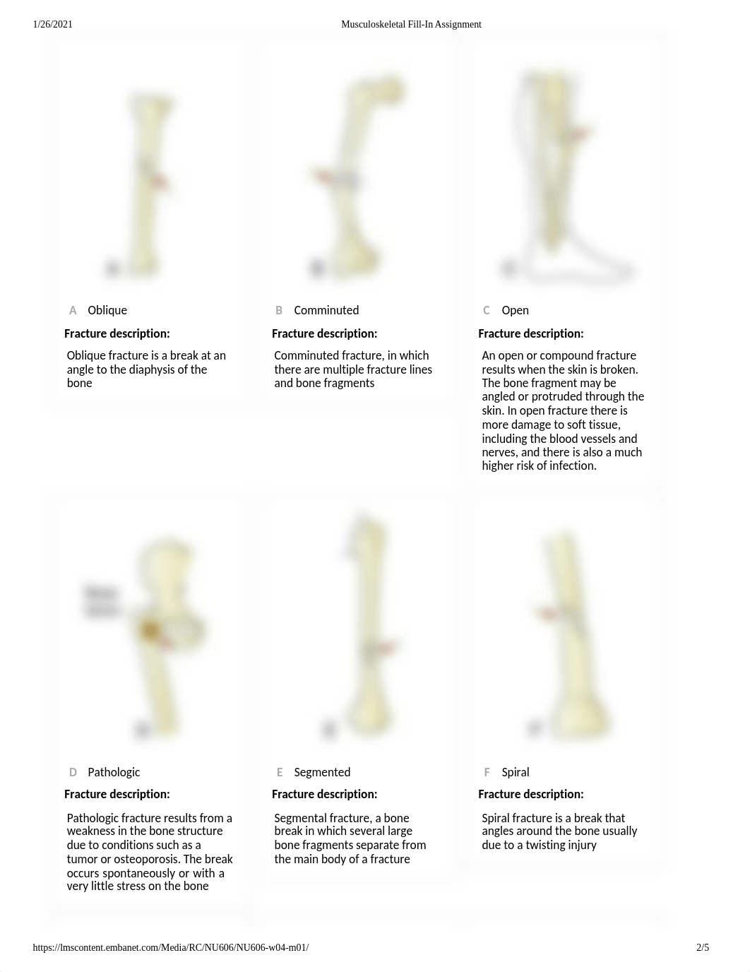 Musculoskeletal Fill-In Assignment .docx_dn8iv87y8by_page2