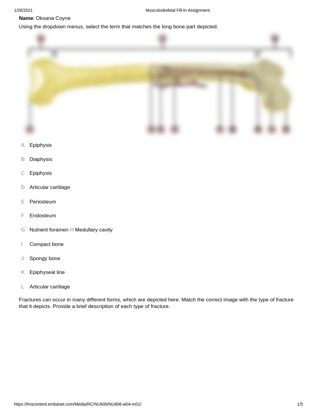 Musculoskeletal Fill-In Assignment .docx_dn8iv87y8by_page1