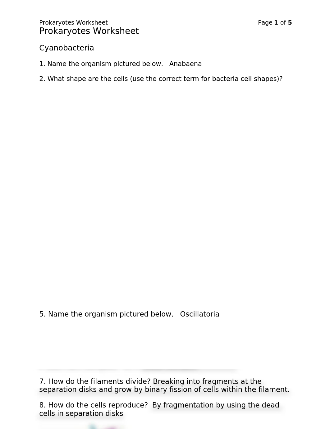 Prokaryotes Lab Worksheet.docx_dn8jwdgx197_page1