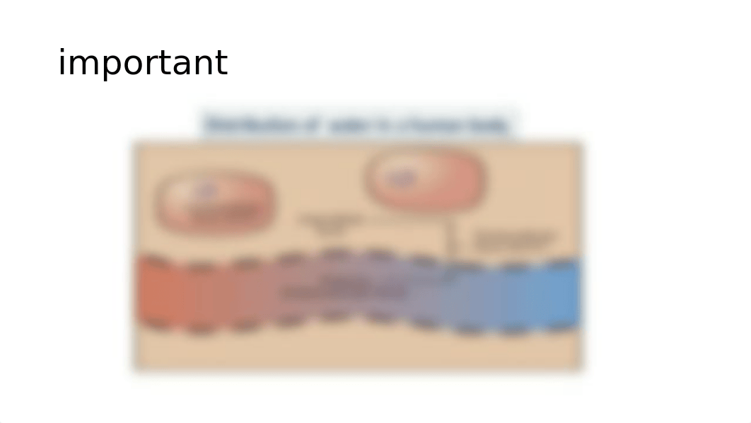 NUR_113_Chemical_Regulation__with_my_notes_E.pptx_dn8ug4cwlu3_page5