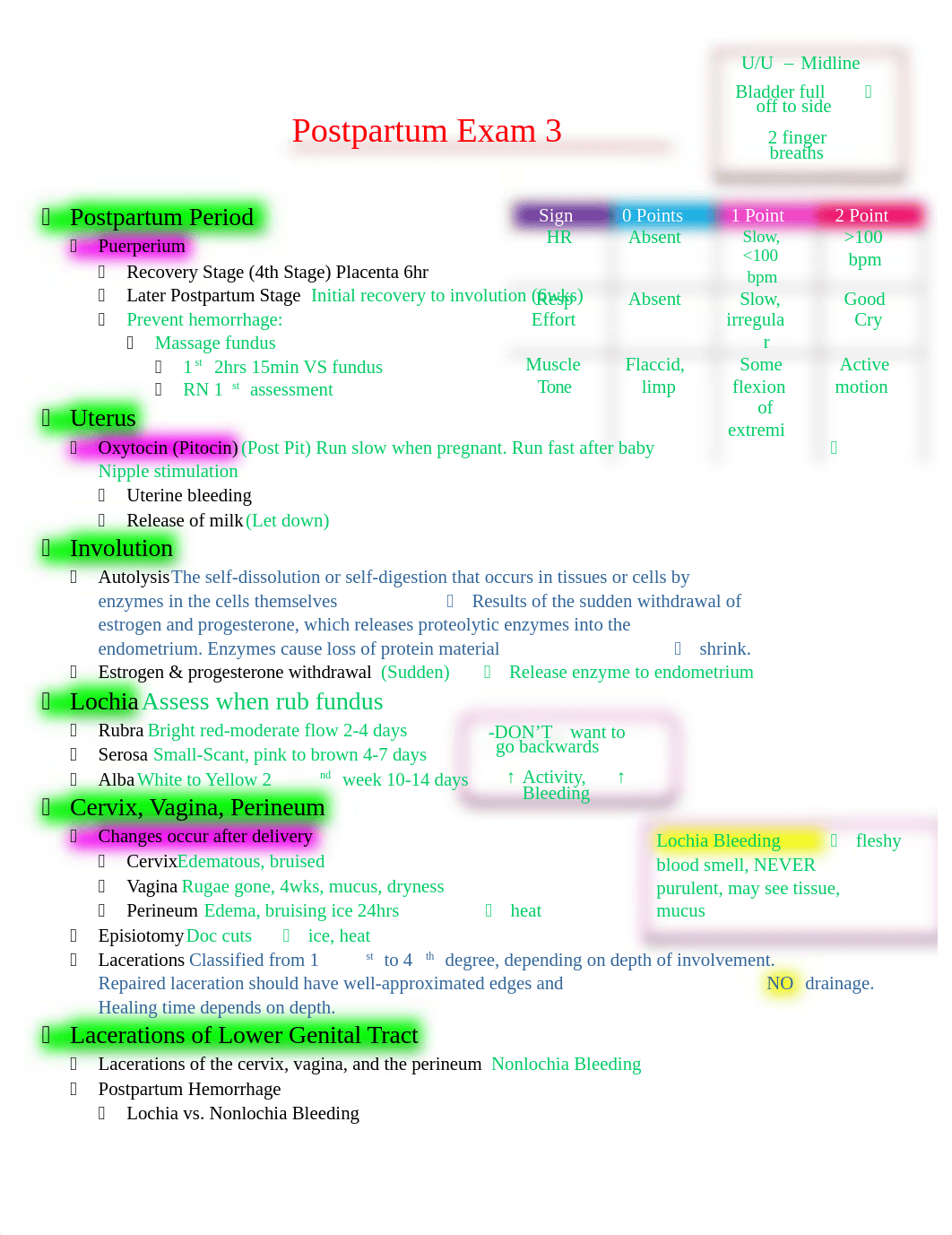 Postpartum Exam 3.docx_dn8xcr56qrq_page1