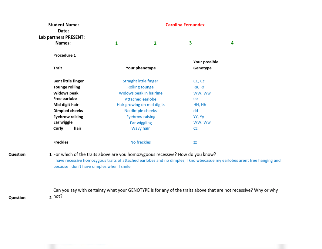 PLA 9 Carolina Fernandez.pdf_dn92g2qqilh_page1