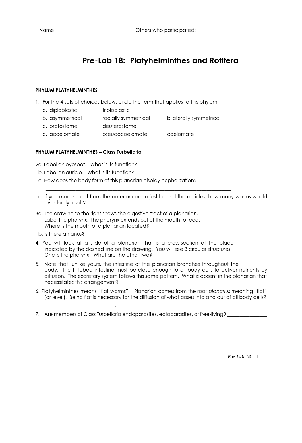 18a_Platyhelminthes and Rotifera.pdf_dn9a4lf3nvo_page1