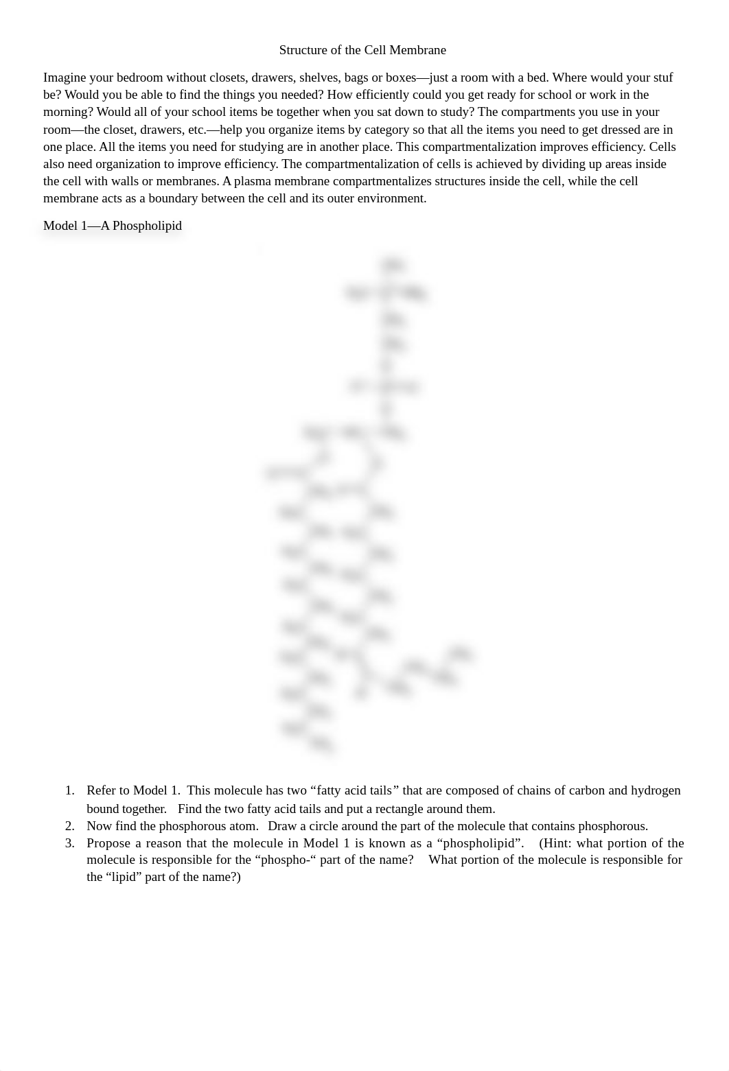 Structure of the Cell Membrane.docx_dn9d6vaf6zz_page1