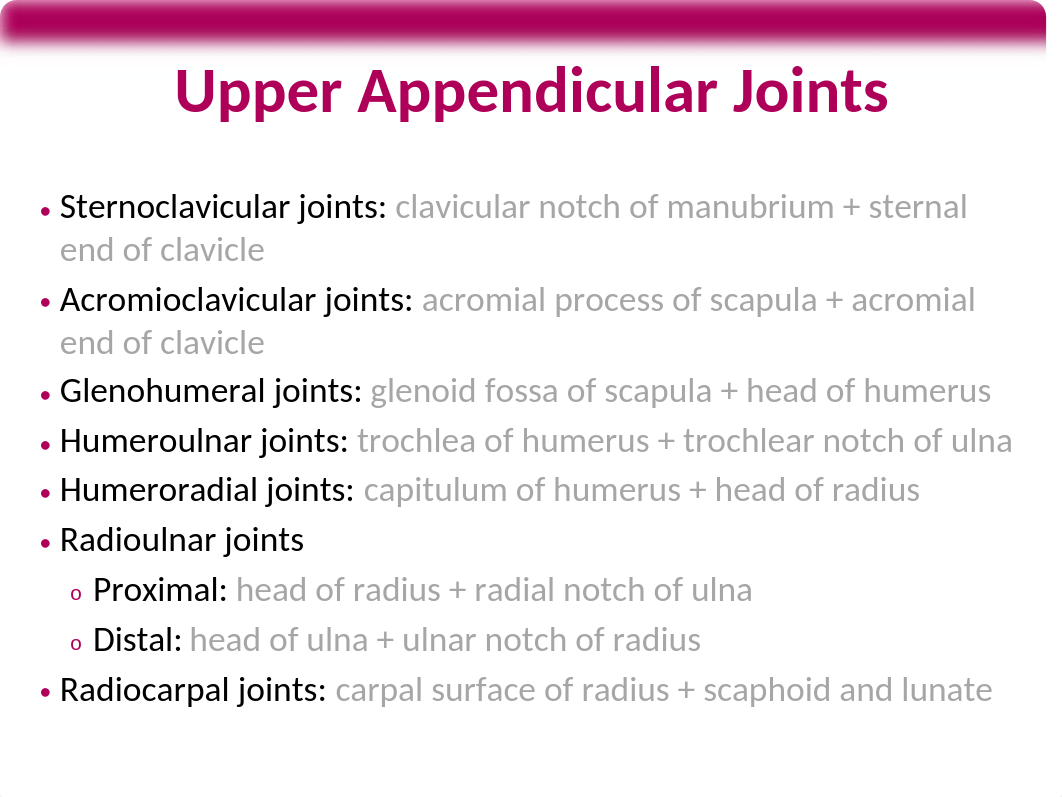 Anatomy Upper Extremity Bones and Muscles.pptx_dn9hppcydpe_page4