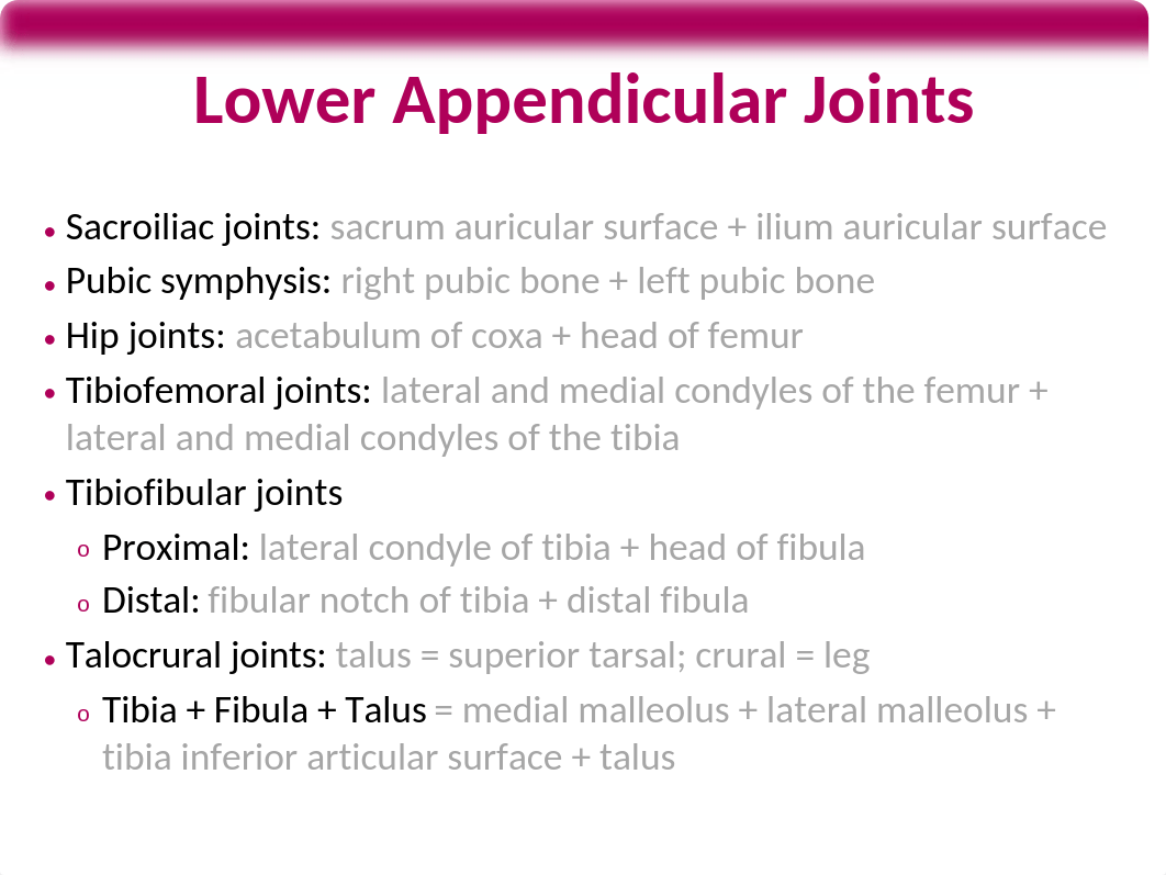 Anatomy Upper Extremity Bones and Muscles.pptx_dn9hppcydpe_page5