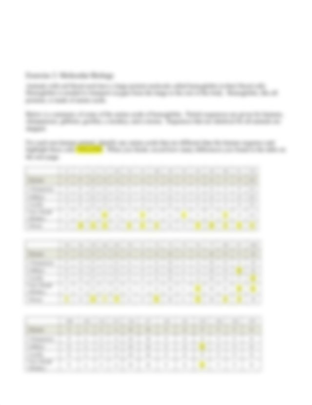 Lab 9 Hominid Evolution Worksheet.docx_dn9lwknk8by_page4