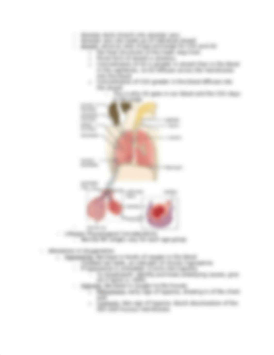 Oxygenation Study Guide 2.docx_dn9t3cxo5r2_page3