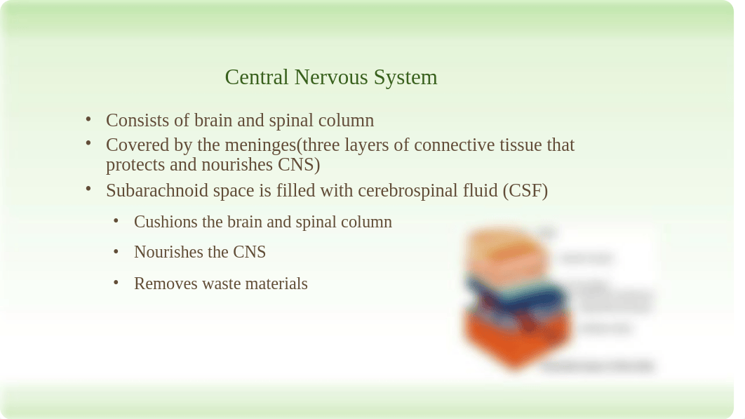 Neurological Assessment - Chapter 25.pptx_dna6qeppzud_page3