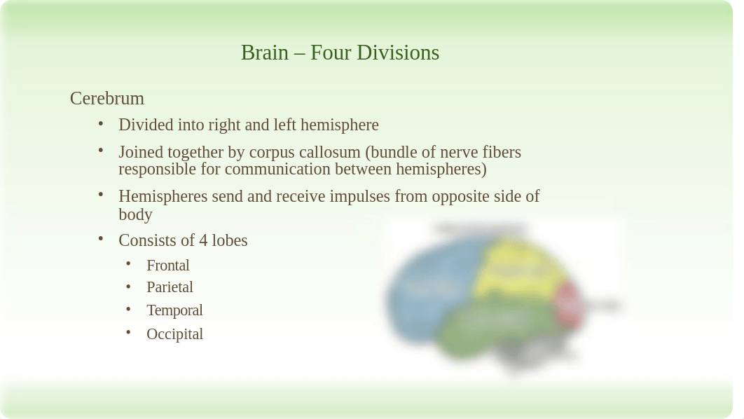 Neurological Assessment - Chapter 25.pptx_dna6qeppzud_page4