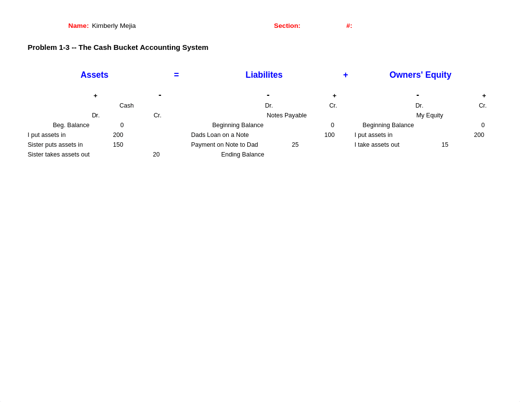 Problem 1-3 Forms The Cash Bucket (2).xls_dna7y9wy5as_page1