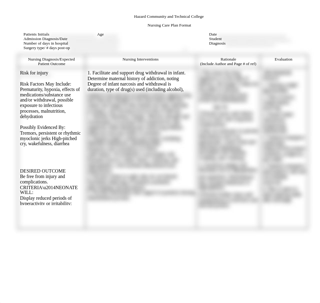 nsg care plan Format.doc_dna95q08w5v_page1