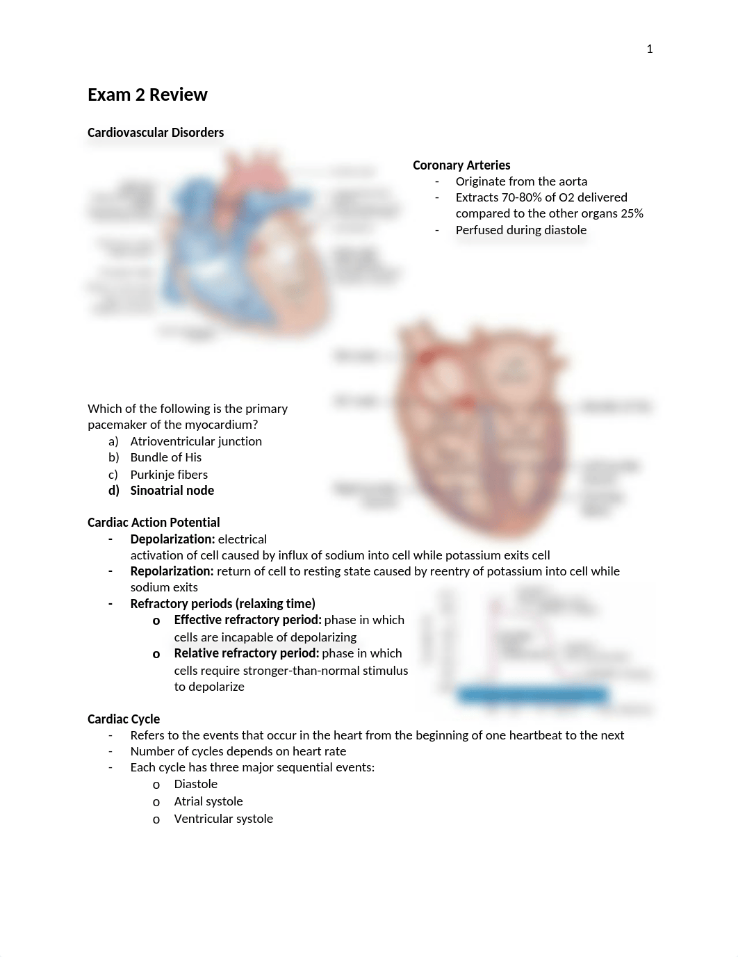 Exam 2 Study Guide.docx_dnaawv55t5z_page1