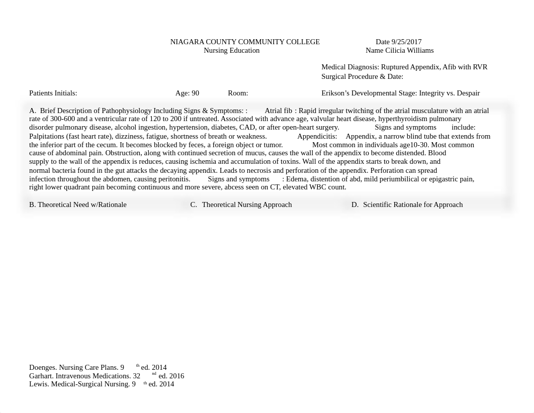 Theoretical Care Plan Appendicitis .doc_dnafneabob2_page1