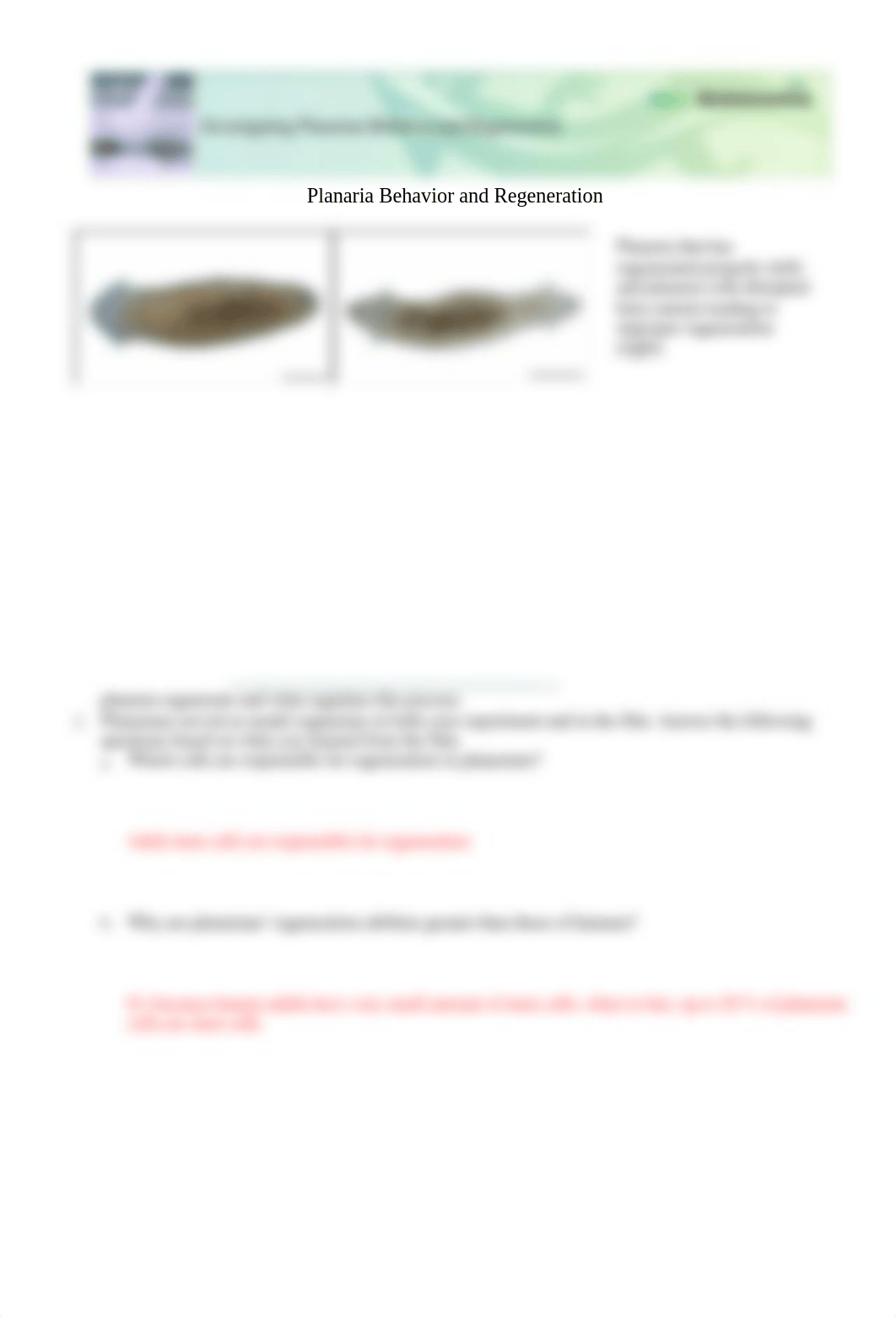 planaria conclusion part 2.docx_dnaul1qnne5_page1