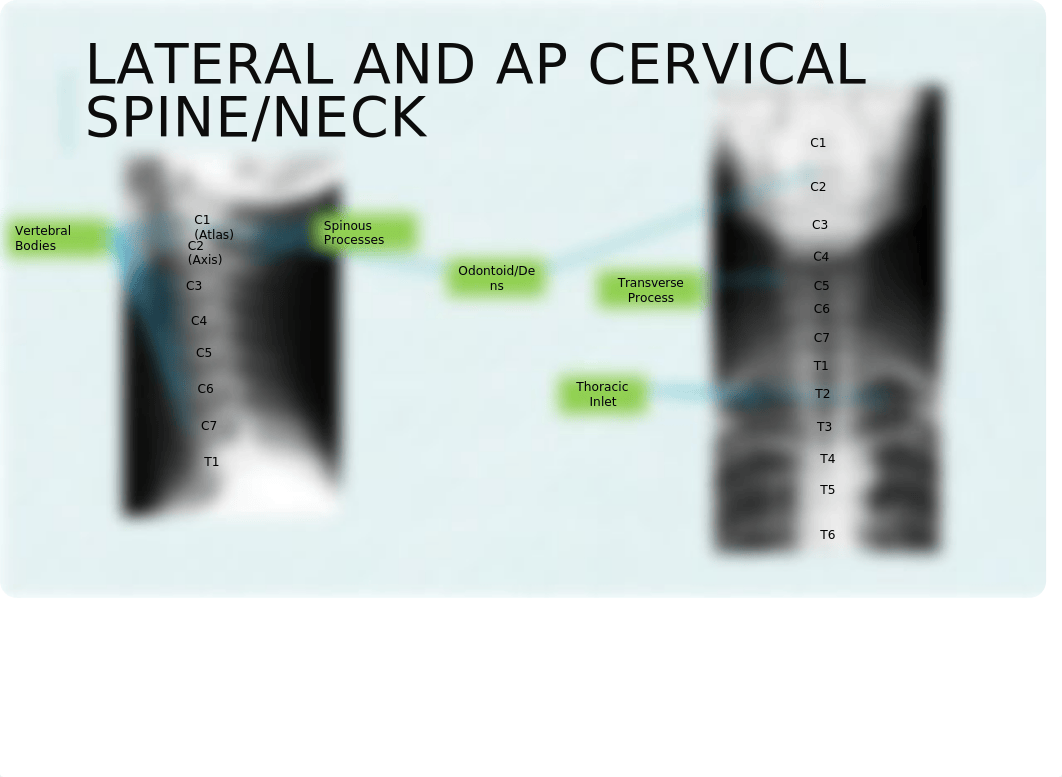 Annotated Image Library.pptx_dnaw8mlgzol_page5