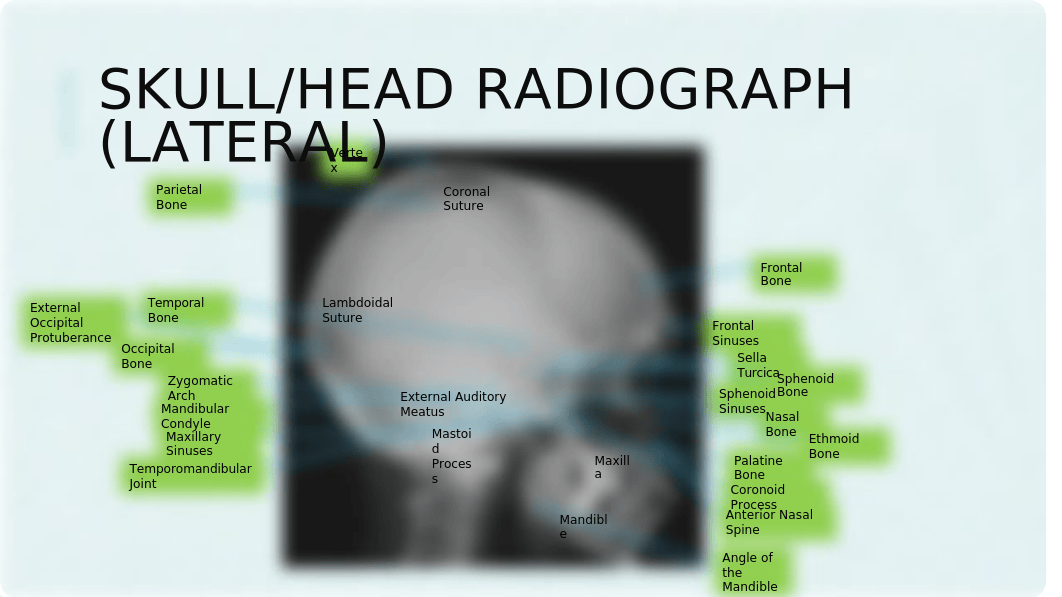 Annotated Image Library.pptx_dnaw8mlgzol_page3