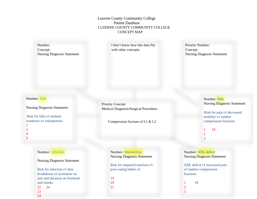 Patient Data Base and Concept Map blank 2020 (2) (1).docx_dnb1scrudu0_page1