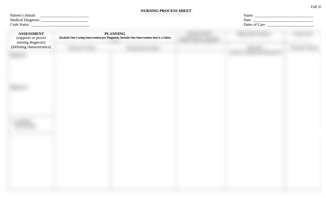 Nursing Process Care Plan Sheet REVISED FALL 2013.doc_dnb3ef0kja1_page1