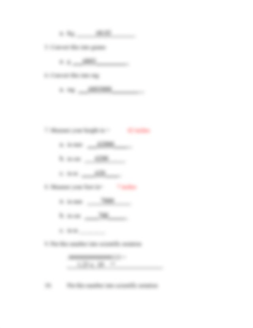 Metric Lab- Biology.doc_dnb9ioo2v0f_page2