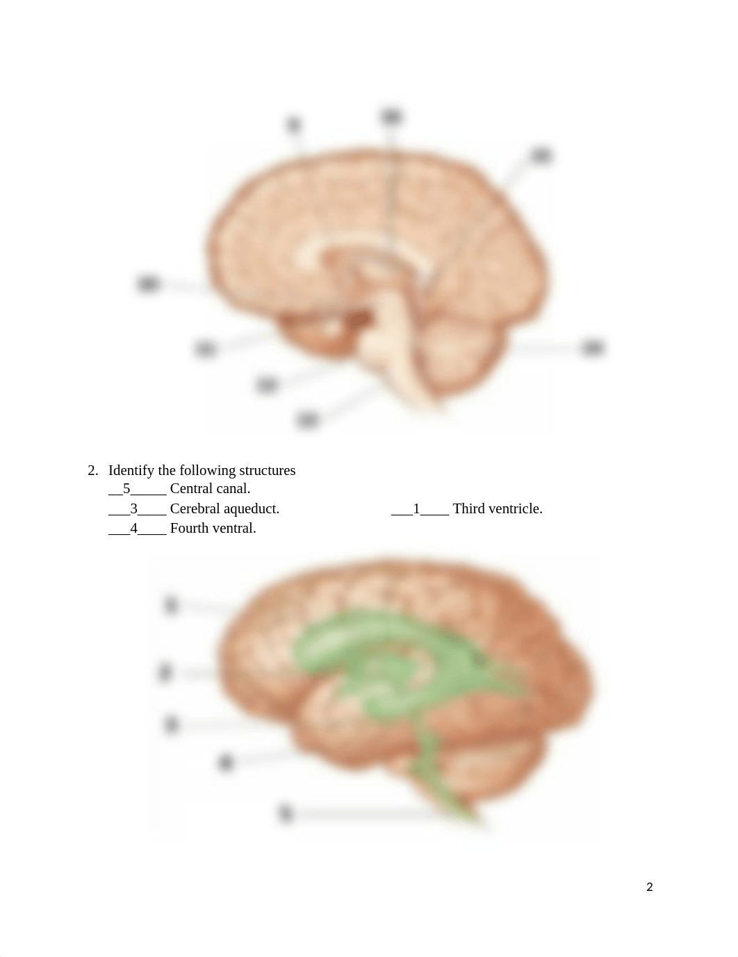 HW 13 (1).docx_dnbdf17uohi_page2