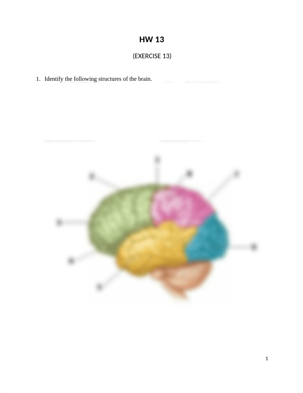 HW 13 (1).docx_dnbdf17uohi_page1