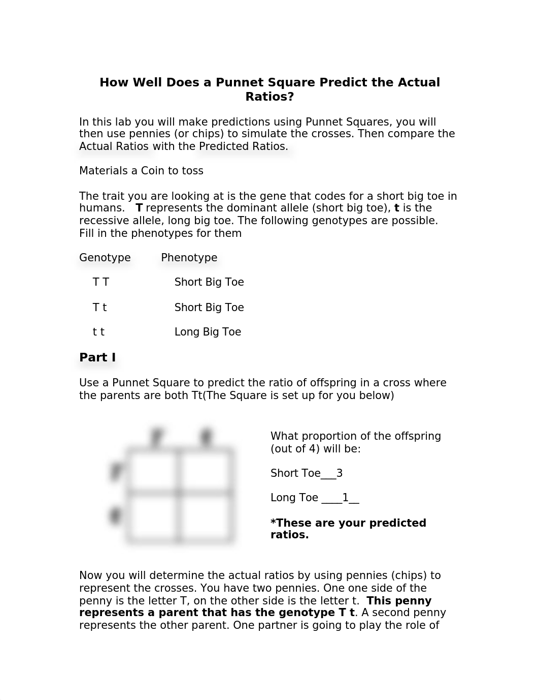 _How Well Does a Punnet Square Predict the Actual Ratios and two traits.docx_dnbiievlojg_page1