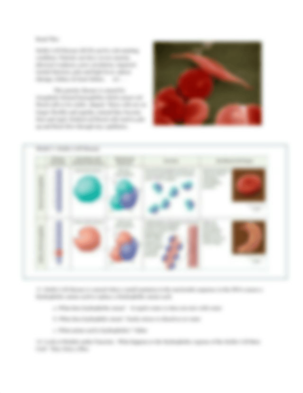 Formed Elements in Blood POGILish Activity.docx_dnbioiuyht2_page3