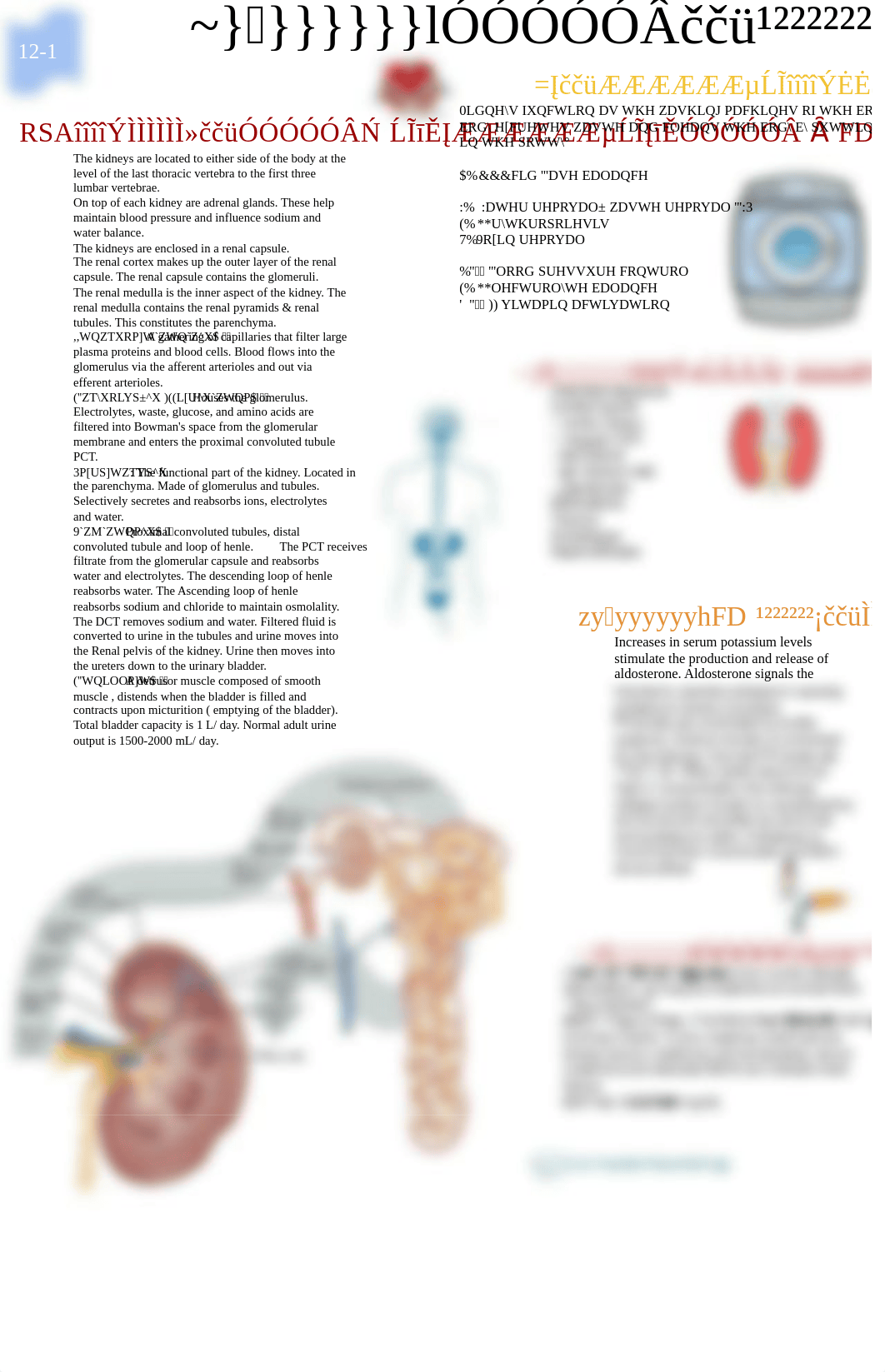 Renal Study guide course #12 (1).pdf_dnbqvnk0vqg_page1