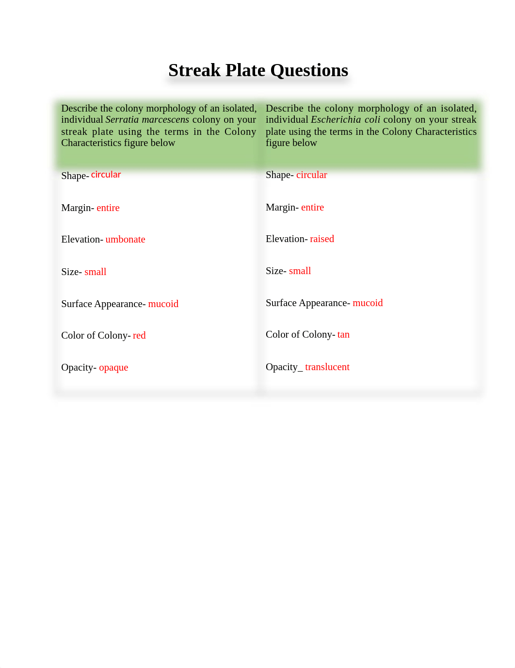 Streak Plate Questions.docx_dnbr7nsioin_page1