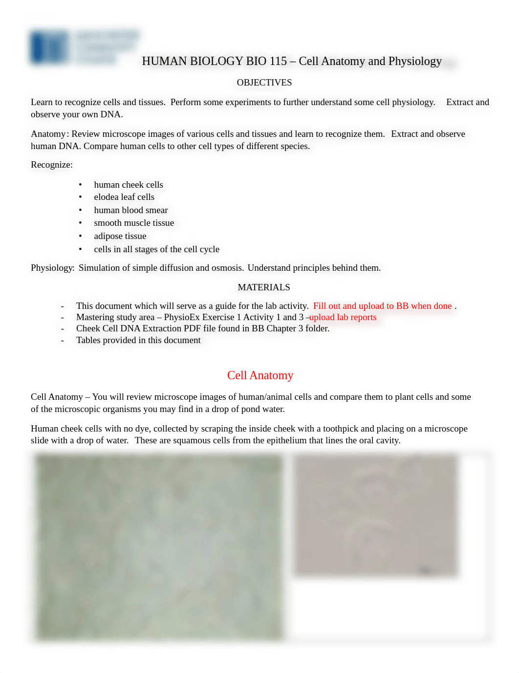 Lab 1.pdf_dnc08uuxrp2_page1