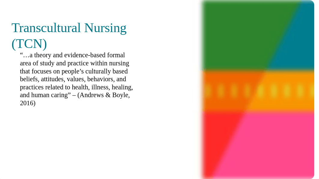 Reflecting on Transcultural Healthcare.pptx_dnc38c653h7_page3