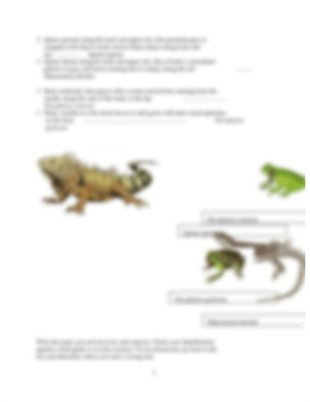 Using and Preparing a Taxonomic Key_K Jenkins.docx_dnc39joli6g_page2