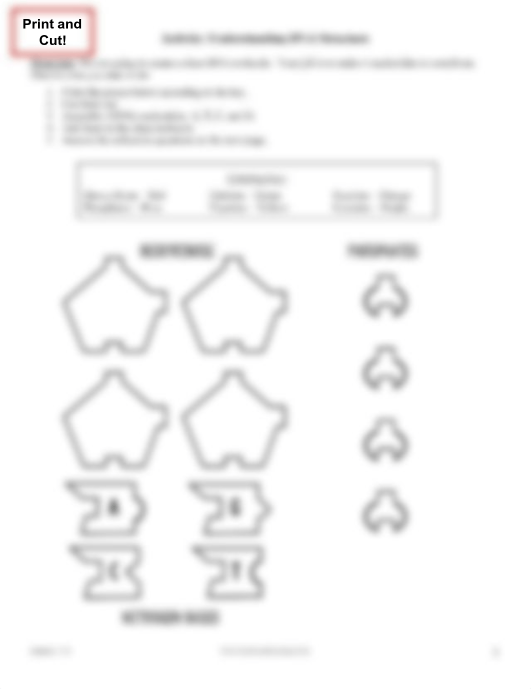 _Unit 4 Genetics Packet  (1).pdf_dncjt3c2ryn_page5