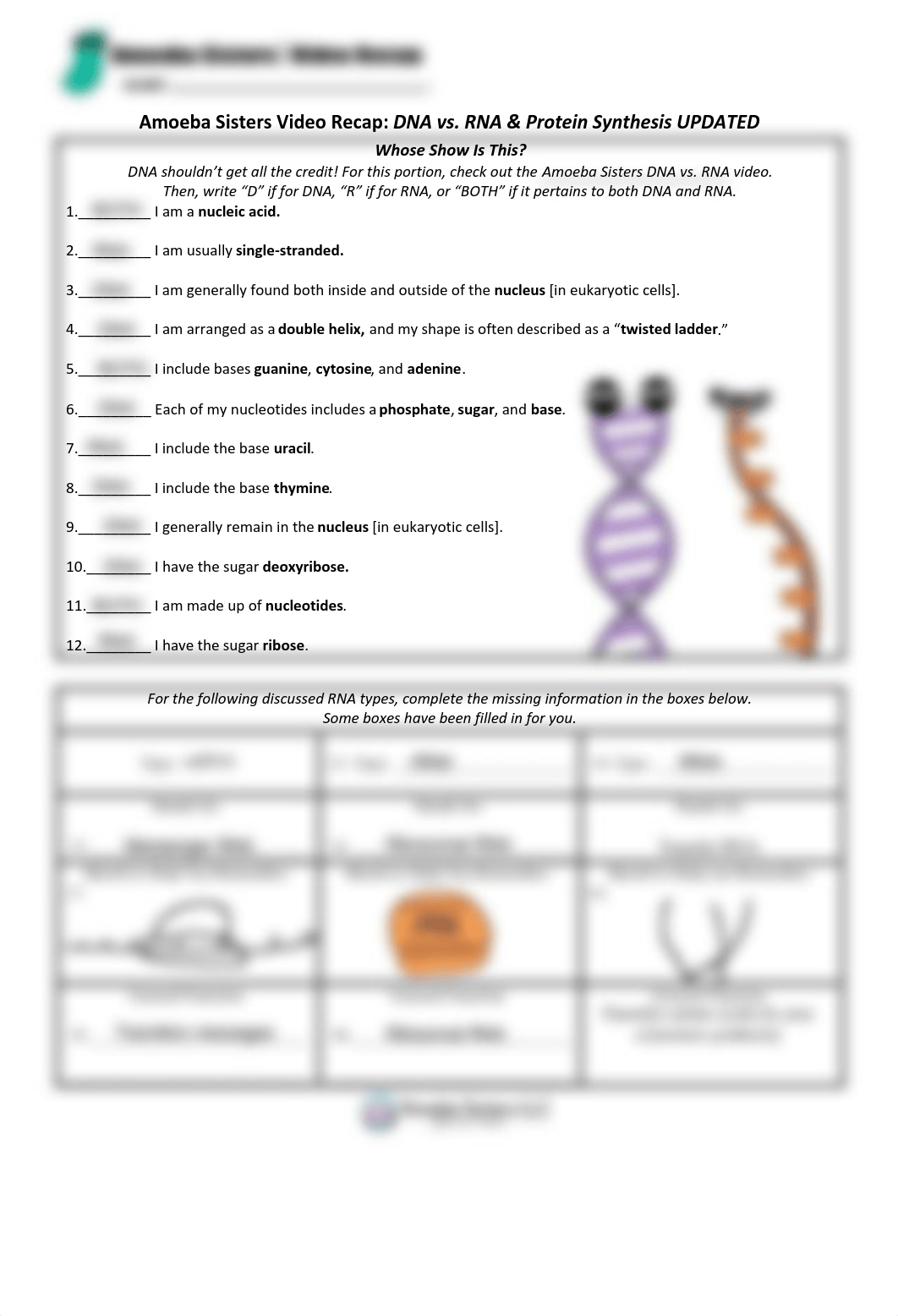 dna_vs_rna_and_protein_synthesis_updated_recap_by_amoeba_sisters.pdf_dnckiaqhuxq_page1