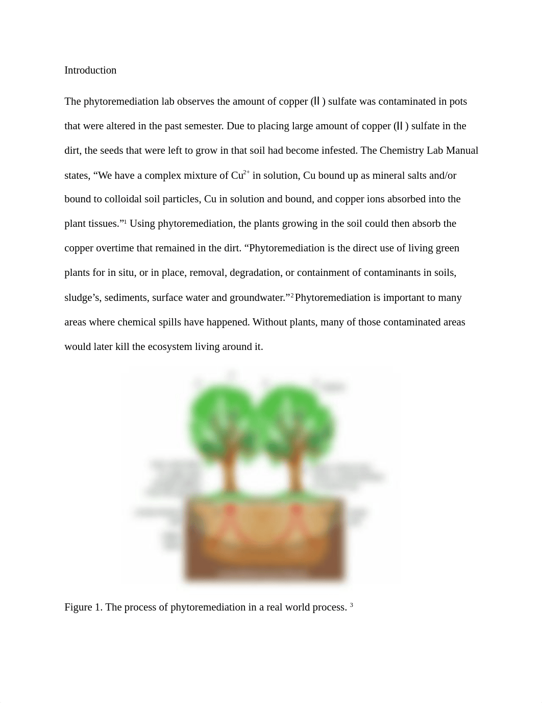 Phytoremediation full lab report.docx_dnco25h21ah_page2